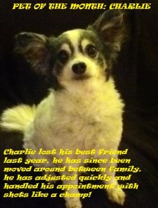 charlie